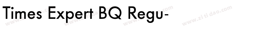 Times Expert BQ Regu字体转换